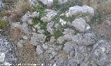 El Castellón. Muralla