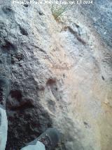 Cueva del Frontón. Altura