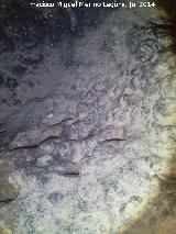 Cueva del Frontón. Paredes
