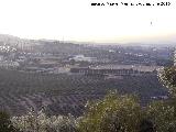 Recinto Ferial de Jaén. Desde el Cerro de las Canteras