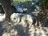 Casería de Jesús. Piedras de molino