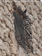 Castillo de Jimena. Rejería