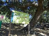 Área recreativa Gibralberca. 