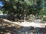 Área recreativa Gibralberca. 