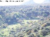Alquería de Mingo. 