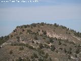 Torreón de Los Pinares. 