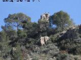 Torreón de Los Pinares. Con los vuitres de vigía