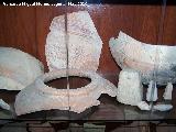 Museo de Jódar. Cerámicas y pesas de telar ibéricas