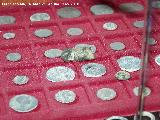 Museo de Jódar. Monedas romanas y exvoto de un dedo