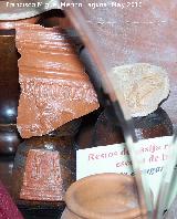 Museo de Jódar. Terra sigillata