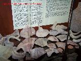 Museo de Jódar. Cerámica árabe