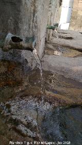 Pilar de los Cinco Caños. Caños