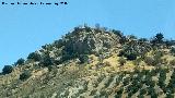 Castelln Caada del Acero. 