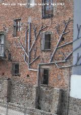 Árbol de Canalones. 