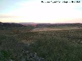 Yacimiento Ermita de San Bartolomé. Vistas