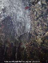 Pinturas rupestres de la Peña Salada II. 