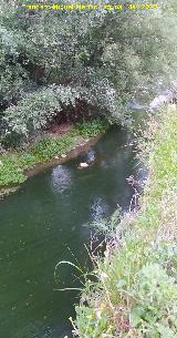 R�o Fr�o. A su paso por el Cerro Toledo - Los Villares