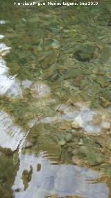 Ro Fro. Transparencia de sus aguas