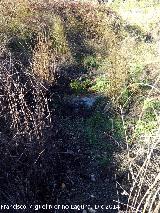 Manantial de Valdemarín. 