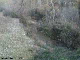 Río Cambil. 