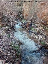 Río Cambil. 