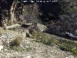 Molino del Río Cambil. 