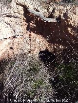 Cuevas Piquita. Cueva XI. Habitación