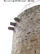 Torreón de Lupión. Matacán