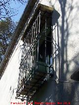 Casa Grande de San Antón. Reja de Rosetas