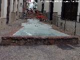 Fuente de Juan de Dios Alcntara. 