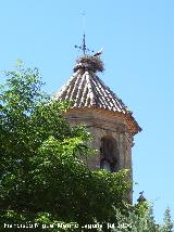 Iglesia de San Juan Bautista. Cigüeña sobre la torre