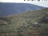 Casería del Llano del Zumbel. 