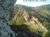 Navalcán. 