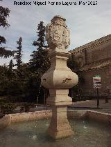 Fuente Real. Caños