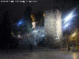 Alcazaba de Málaga. 