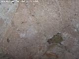 Torreón de la Cabeza. Bóveda del aljibe