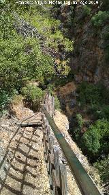 Sendero Río Cañamares. 