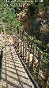 Sendero Río Cañamares. 