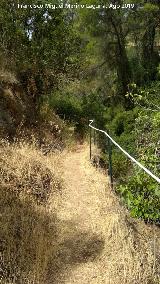 Sendero Río Cañamares. 