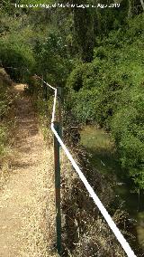 Sendero Río Cañamares. 
