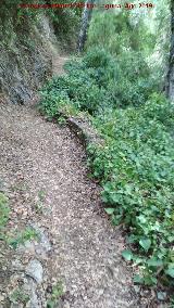 Sendero Río Cañamares. 