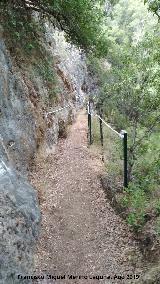 Sendero Río Cañamares. 