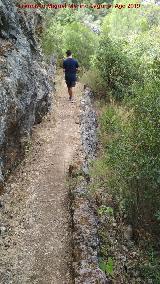 Sendero Río Cañamares. 