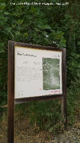 Sendero Río Cañamares. Cartel