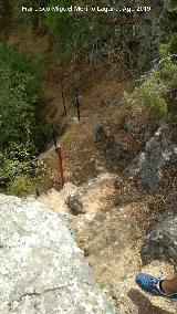 Sendero Río Cañamares. Escaleras