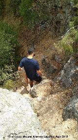 Sendero Río Cañamares. Escaleras