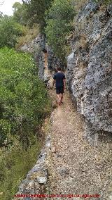 Sendero Río Cañamares. 
