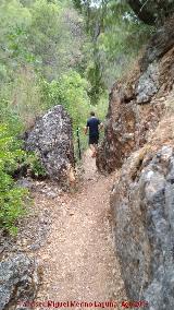 Sendero Río Cañamares. 