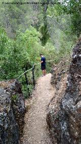 Sendero Río Cañamares. 
