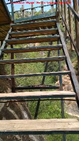 Sendero Río Cañamares. Escaleras